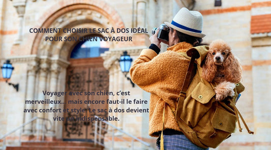 COMMENT CHOISIR LE SAC A DOS CHIEN PARFAIT