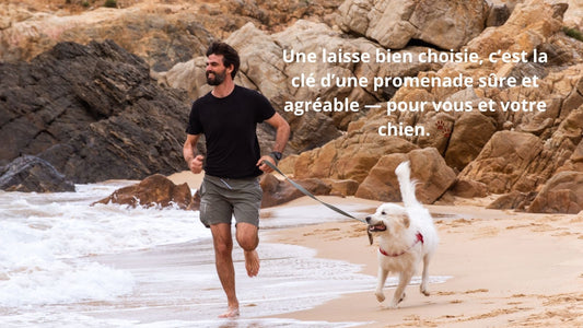 L'IMPORTANCE DE CHOISIR LA BONNE LAISSE POUR CHIEN