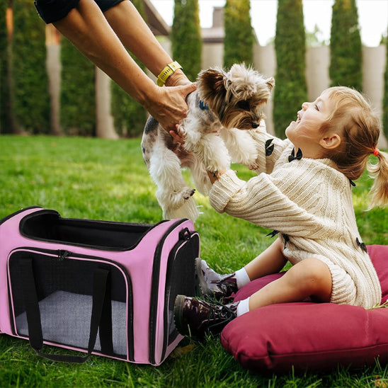 Chien sac de transport DoggyBagâą chien avec enfant