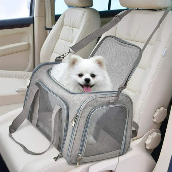 Chien sac de transport DoggyBag⹠gris ceinture de sécurité