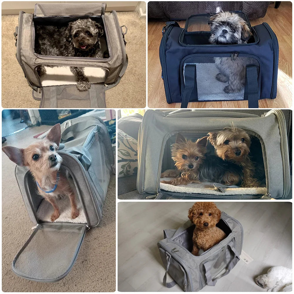 Chien sac de transport DoggyBagâą petits chiens