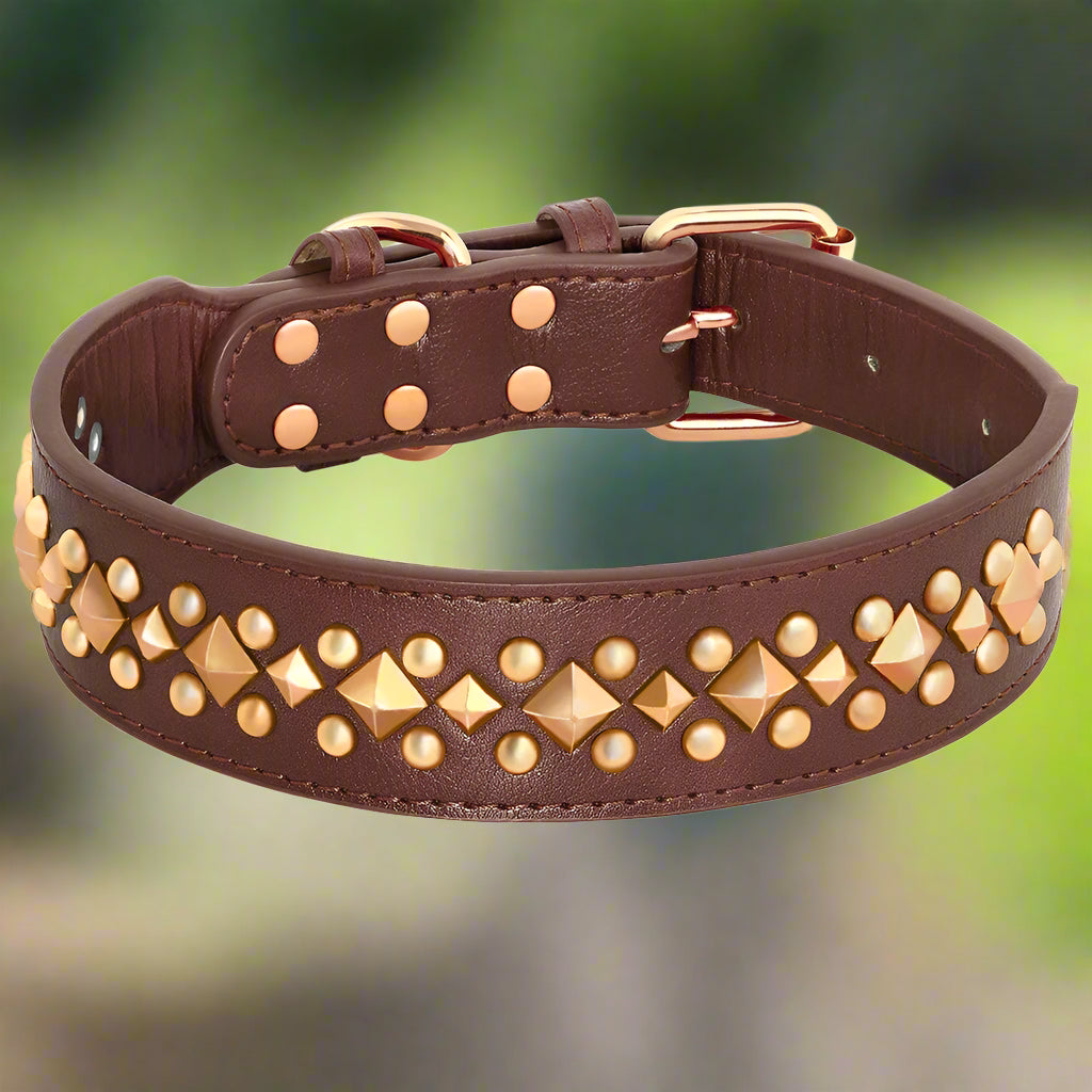 Collier chien NobleMuseau brun