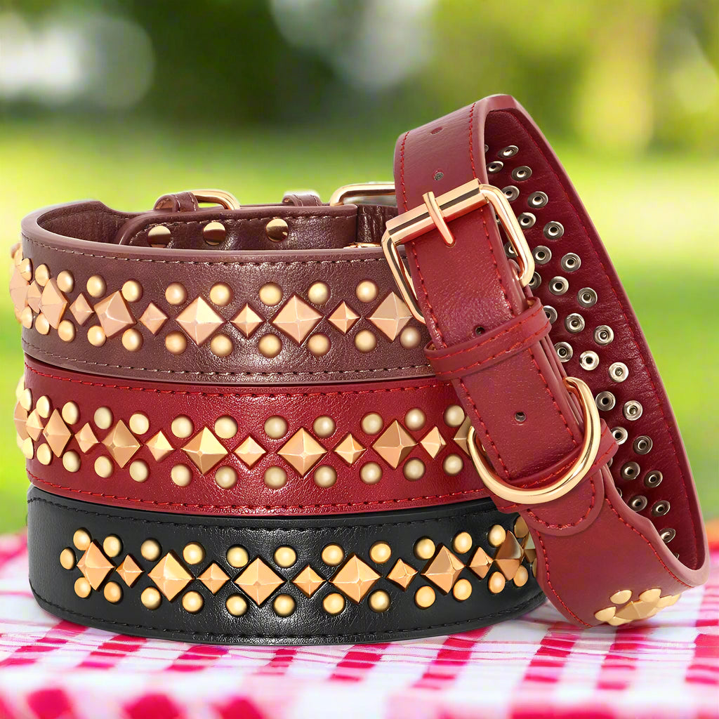 Collier chien NobleMuseau couleurs multiples