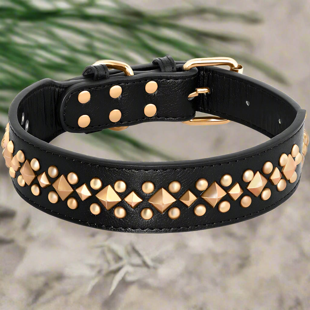 Collier chien NobleMuseau noir