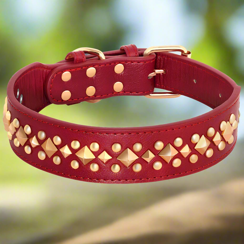 Collier chien NobleMuseau rouge