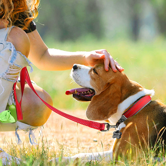 Collier chien PawComfortâą rouge