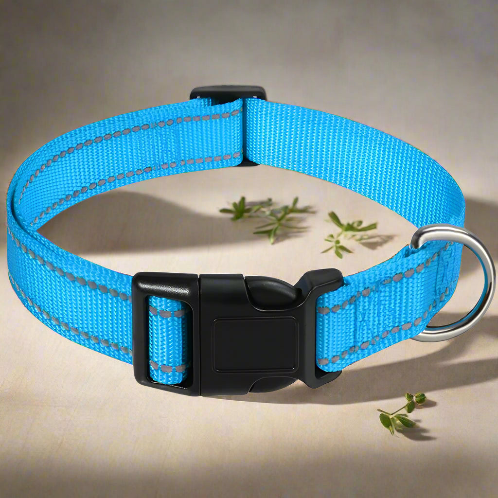 Collier chien lumineux GlowDog bleu ciel