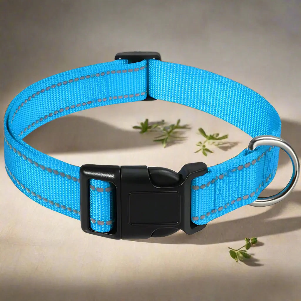 Collier chien lumineux GlowDog bleu ciel