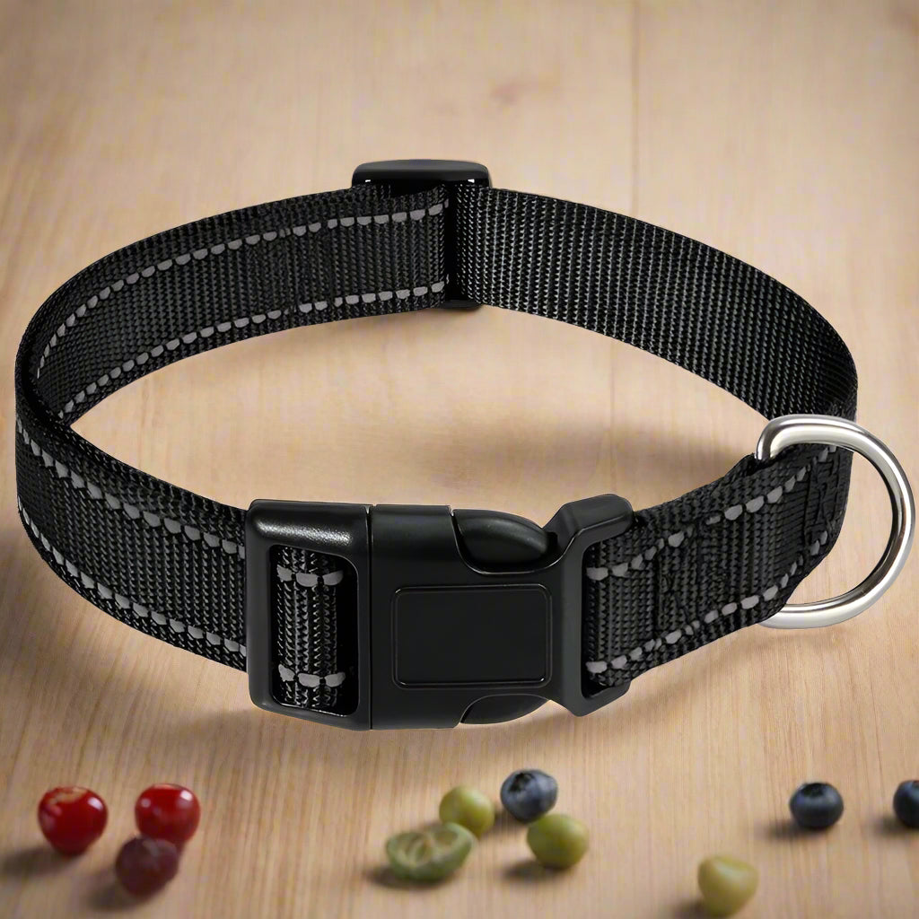 Collier chien lumineux GlowDog noir
