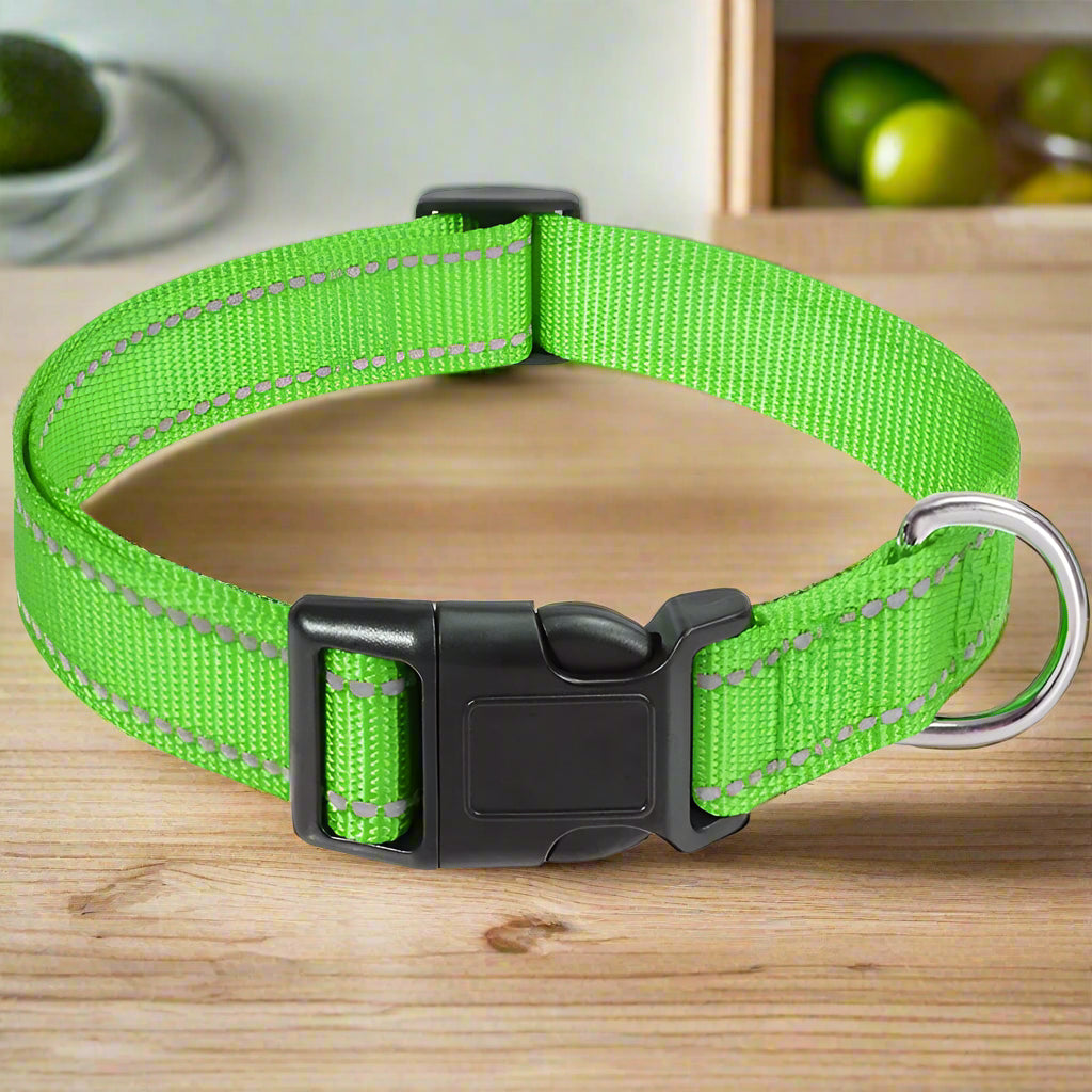 Collier chien lumineux GlowDog vert