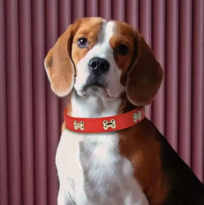 Collier en cuir pour chien Cuir Royal™cuir rouge