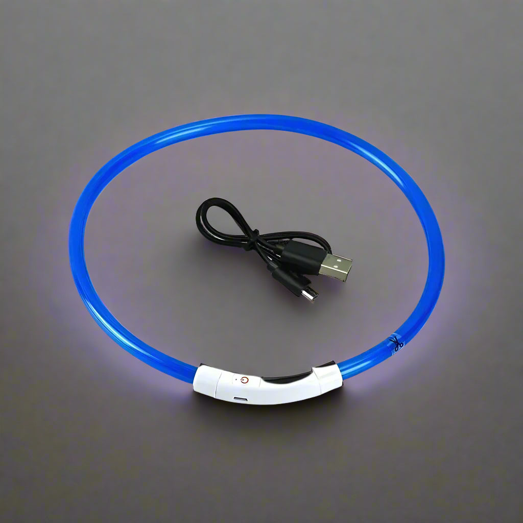 Collier lumineux pour chien | GlowPawsâą bleu