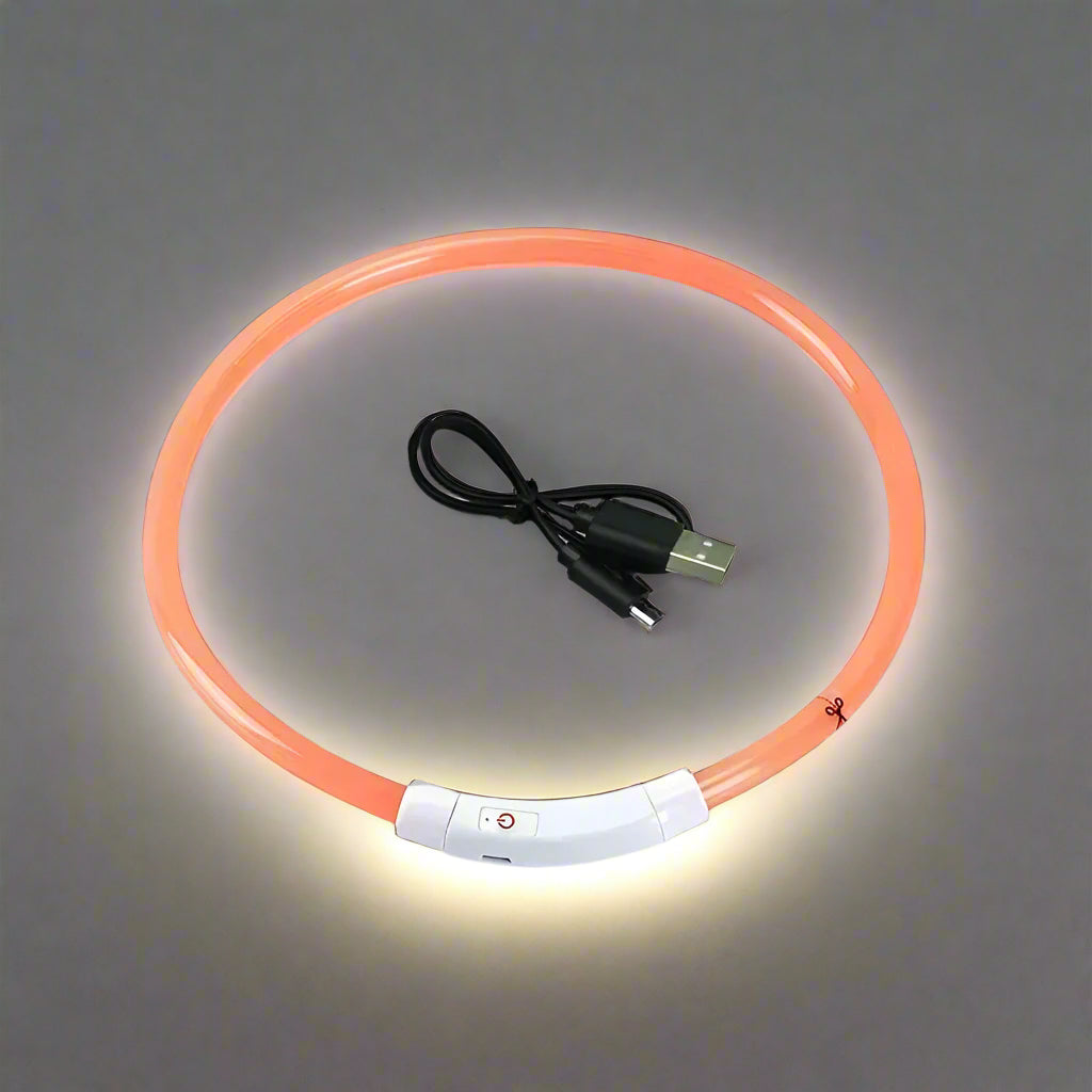 Collier lumineux pour chien orange