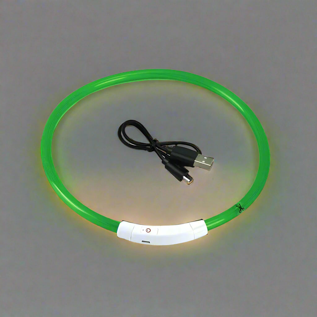 Collier lumineux pour chien vert