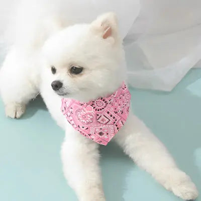 Collier pour chien BandanaPaws bandana rose