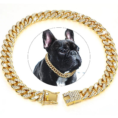 Collier chien ROYAL CANIN ECLAT 12.5mm