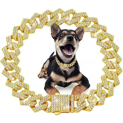 Collier chien ROYAL CANIN ECLAT 15mm