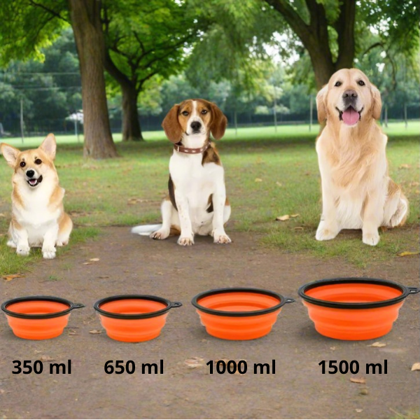 Gamelle pour chien Silicone multiples formats
