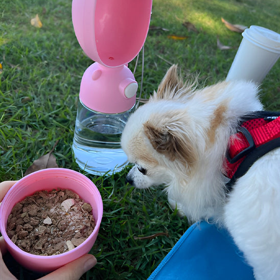 Gourde pour chien Portable petit chien nourrit par son maitre
