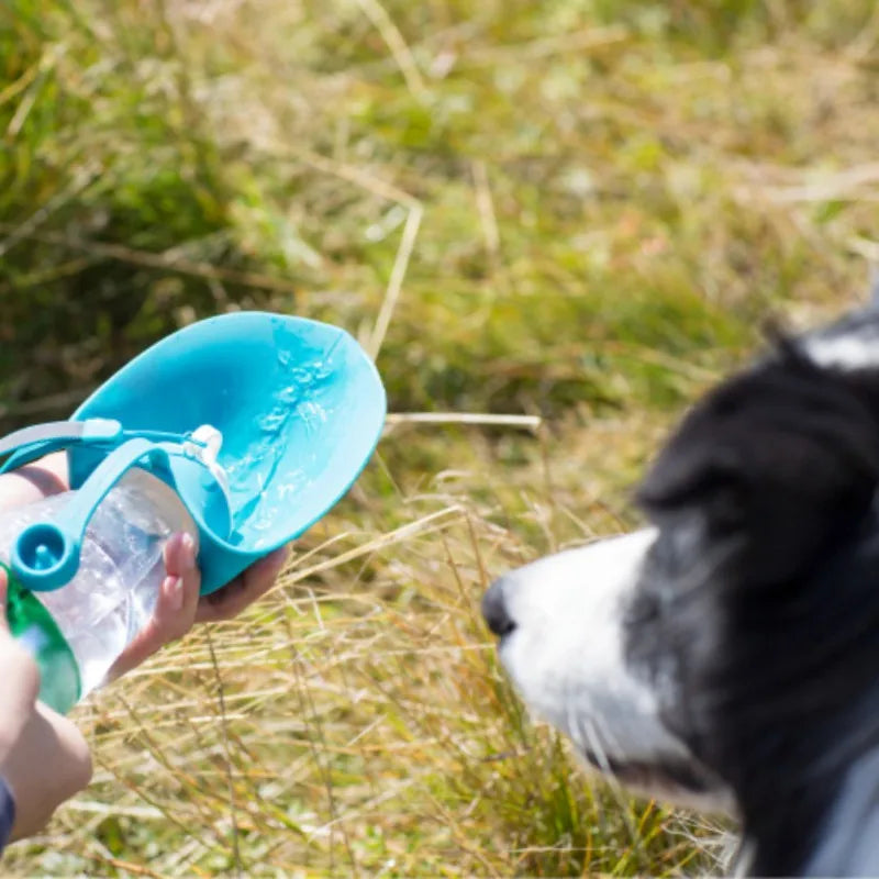 Gourde pour chien Silicone chien regarde eau couler