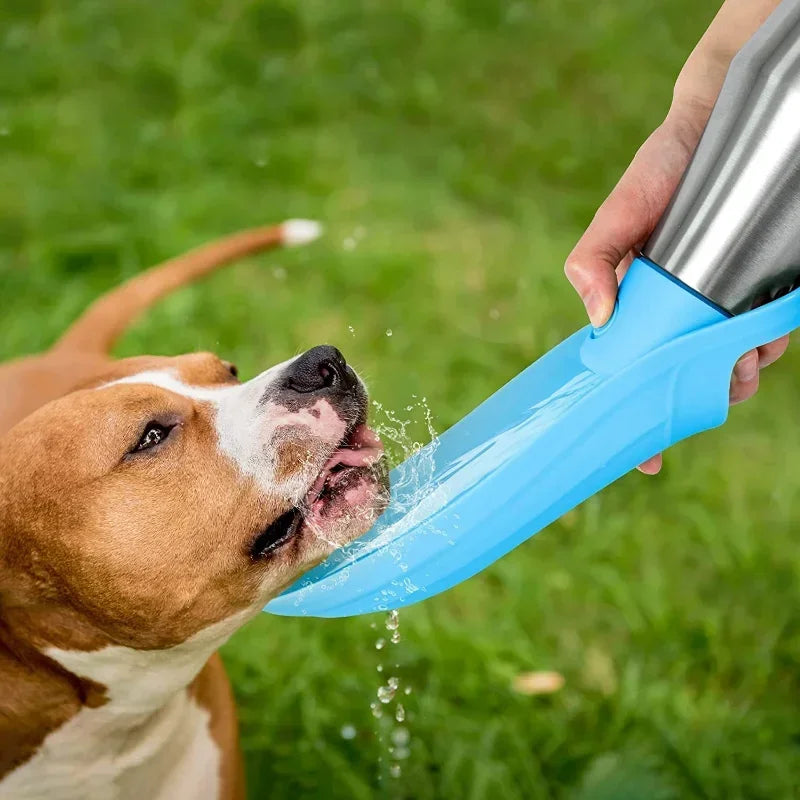 Gourde pour chiens Acier inoxydable chien boit gourde forme de feuille