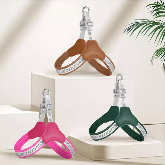 Harnais pour chien StrapPup couleurs multiples