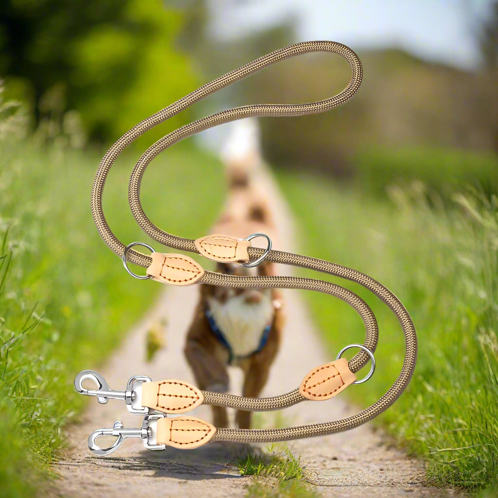 Laisse double pour chien DuoPaws⹠café