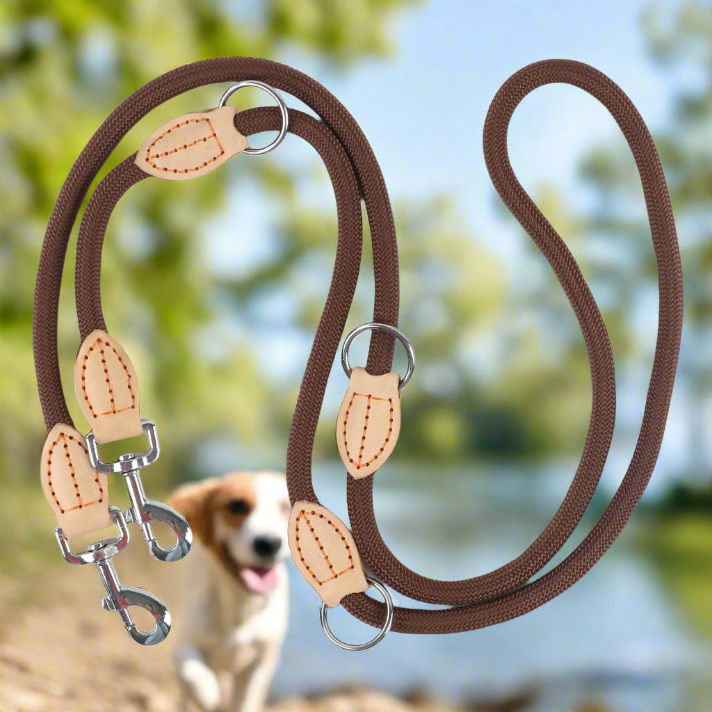Laisse double pour chien DuoPawsâąchocolat