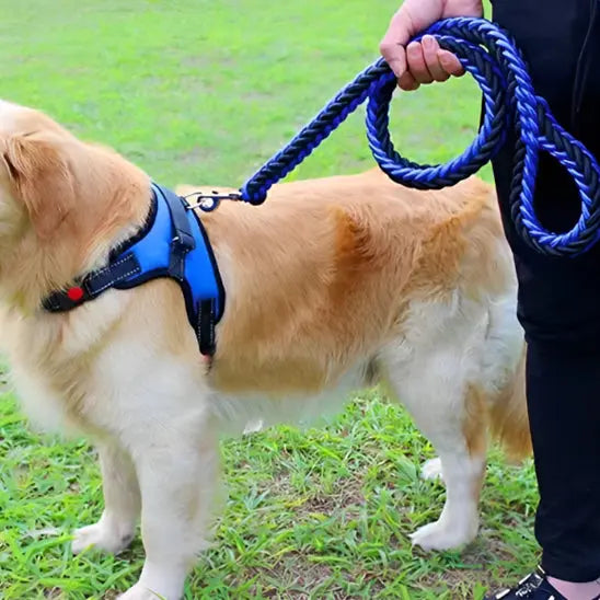 Laisse pour Chien Strong main tenant laisse