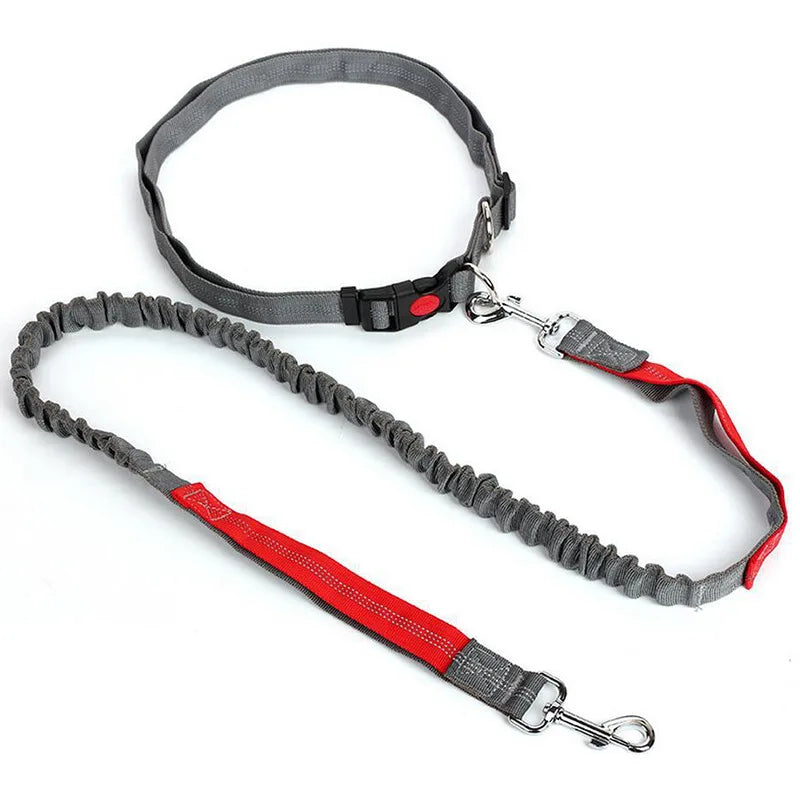 Laisse élastique chien modèle gris avec double attache de sécurité