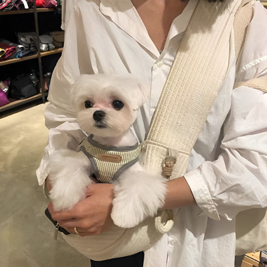 SAC A CHIEN PAWPORT PETIT CHIEN DANS BRAS