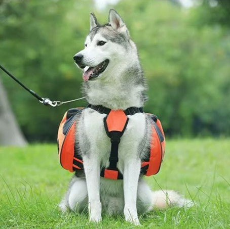 SAC A DOS CHIEN | DogTrotteur™