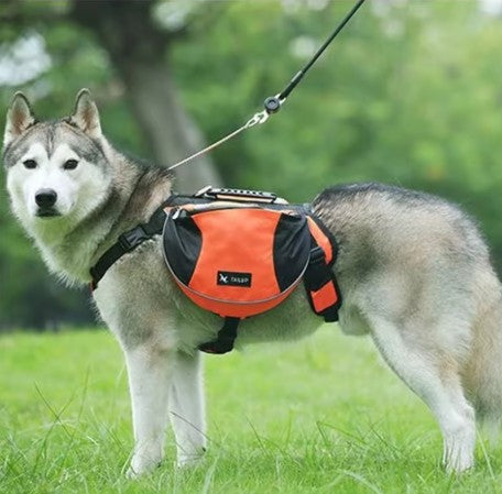 SAC A DOS CHIEN | DogTrotteur™