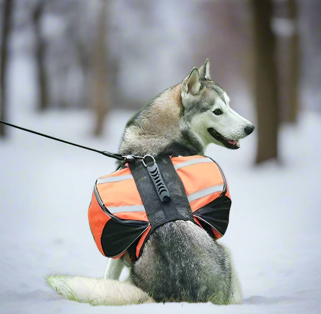 SAC A DOS CHIEN | DogTrotteur™