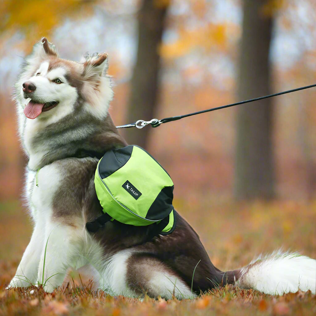 SAC A DOS CHIEN | DogTrotteur™