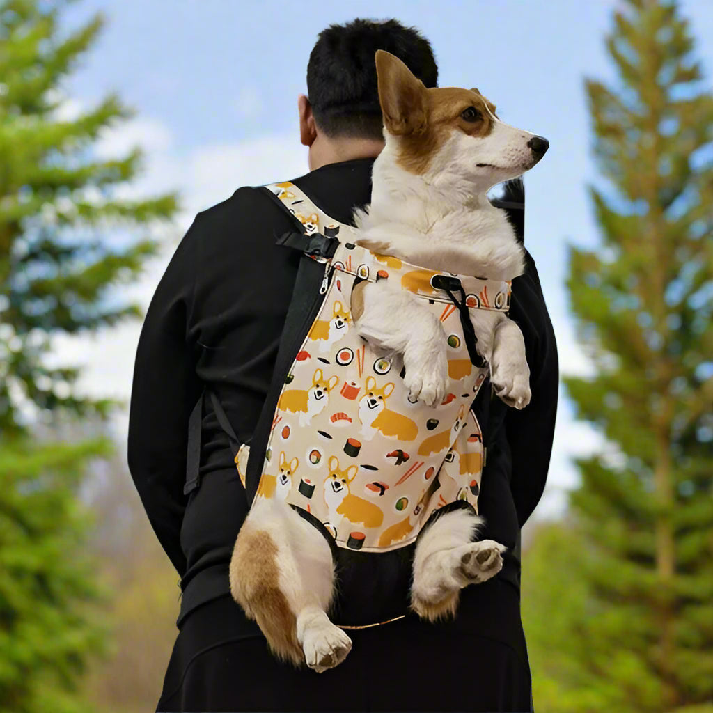 SAC A DOS CHIEN PATTES NUAGES en randonne