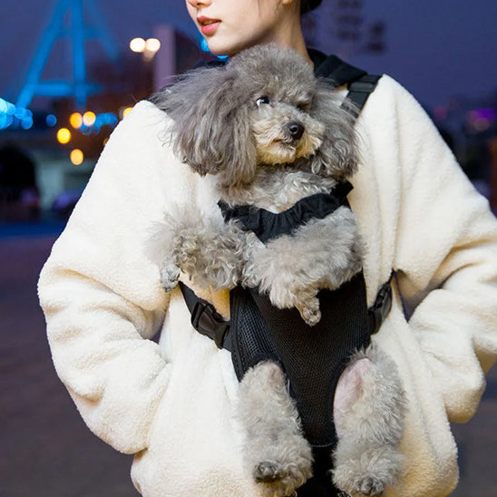 SAC A DOS CHIEN PATTES NUAGES jeune fille le soir