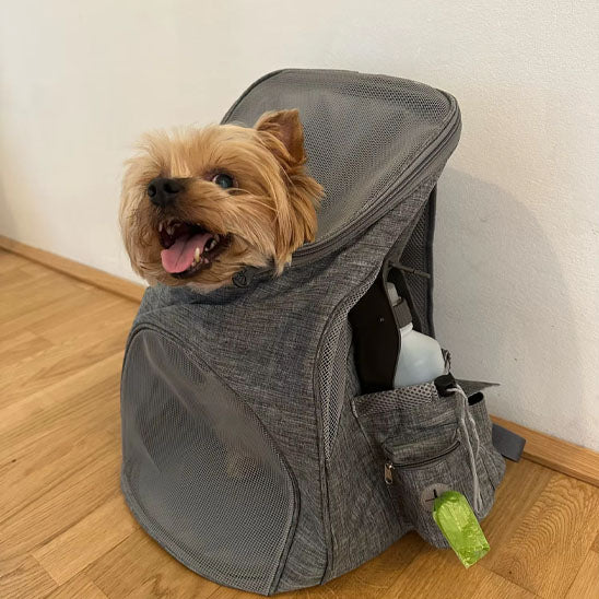 SAC A DOS POUR CHIEN RandoWouf petit chien sac gris