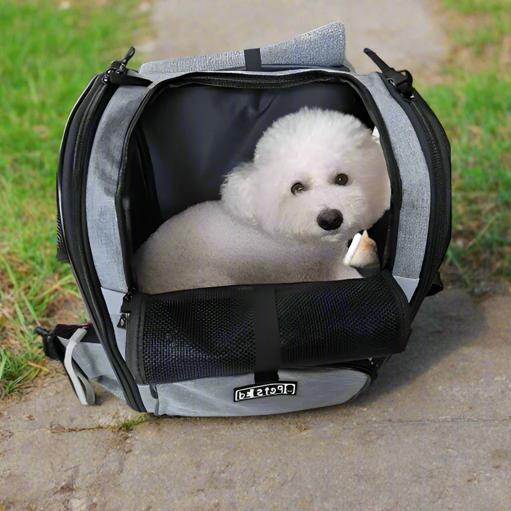 Sac à dos chien |MuseauNomade™