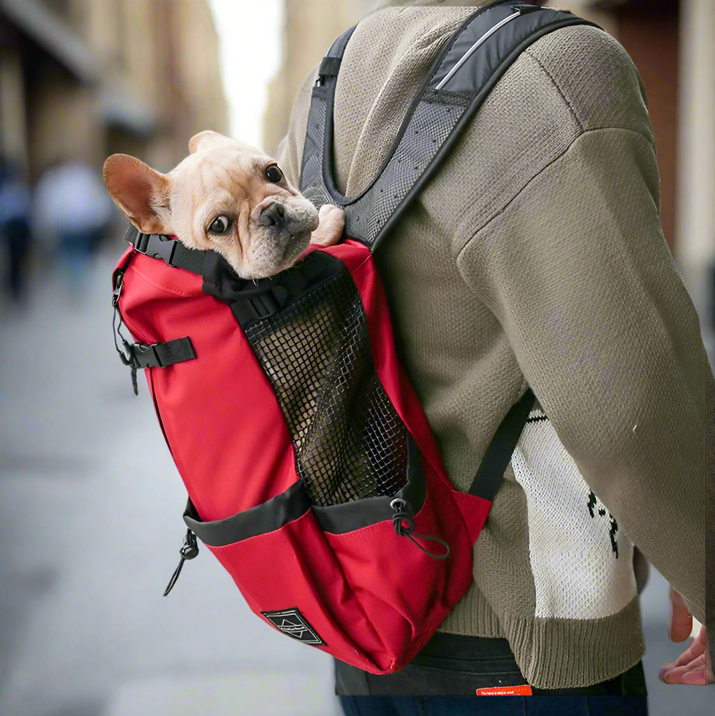 Sac Ă dos pour chien Nomadog en promenade