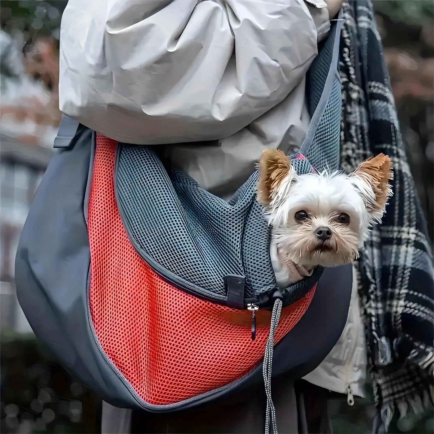 Sac de transport chien Canimobile petit chien sac transport rouge