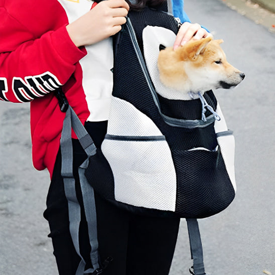 Sac dos pour chien ChienPorteur petit chien dans sac à dos noir