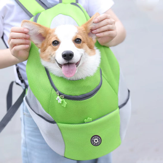 Sac dos pour chien ChienPorteur petit chien dans sac à dos vert