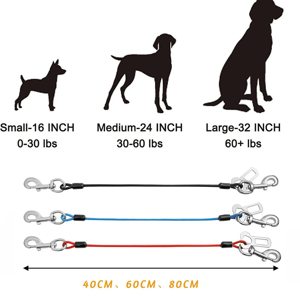 Ceinture laisse pour chien | SécuriToutou