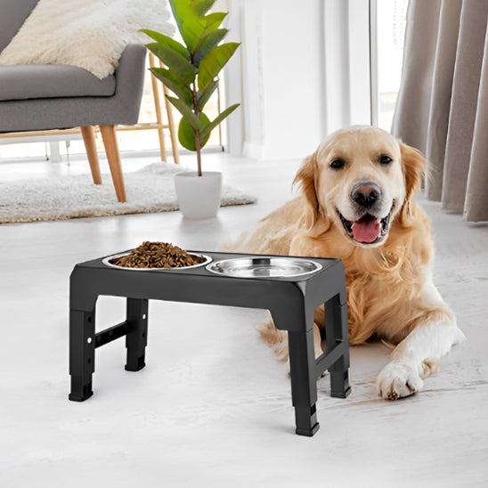 chien couché dans salon prÚs de son support gamelle chien pliable