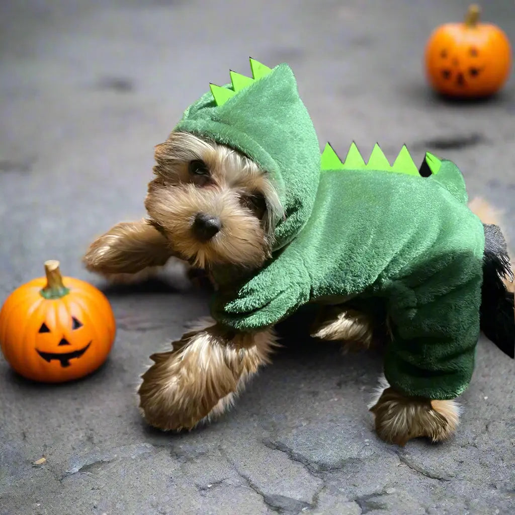 Chien joue citrouille portant Manteau pour chien Costume Dinosaure