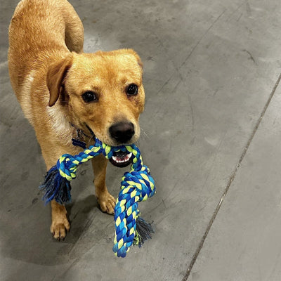 Chien mâche jouet pour chien indestructible