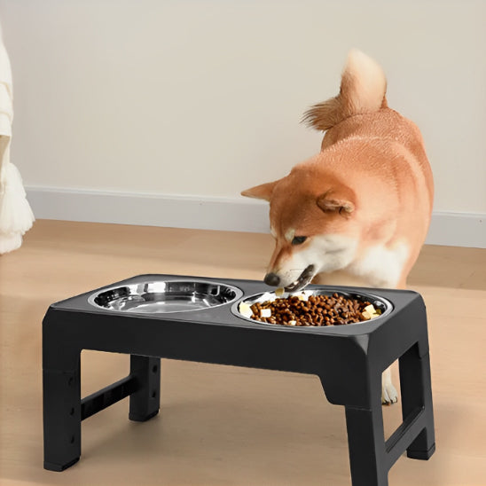 chien mange dans son support gamelle chien pliable