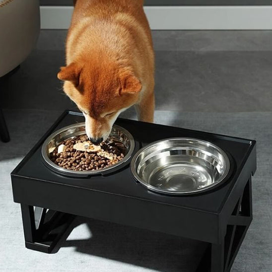 chien mange support gamelle pour chien inclinable dans salon
