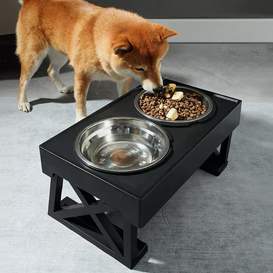 chien mange support gamelle pour chien inclinable